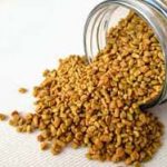 fenu-extract-bs