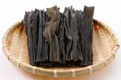 kelp