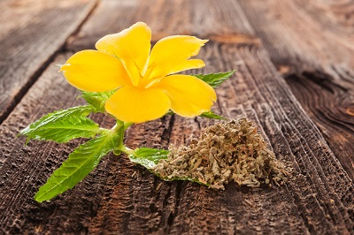 damiana